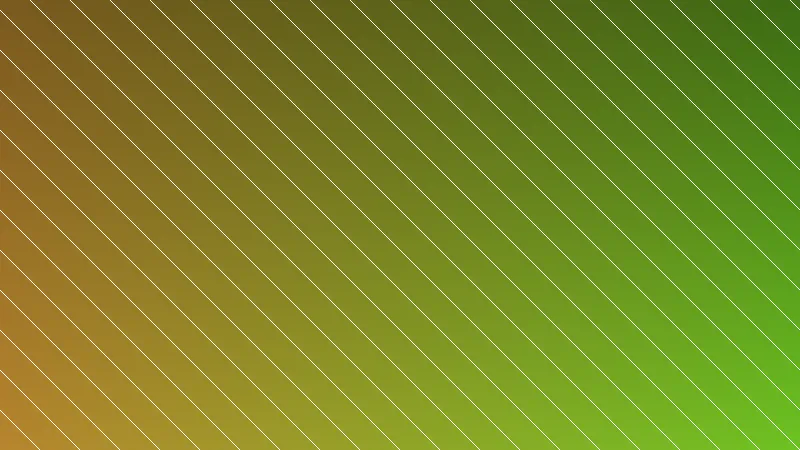 Processo de construção de uma deck de madeira