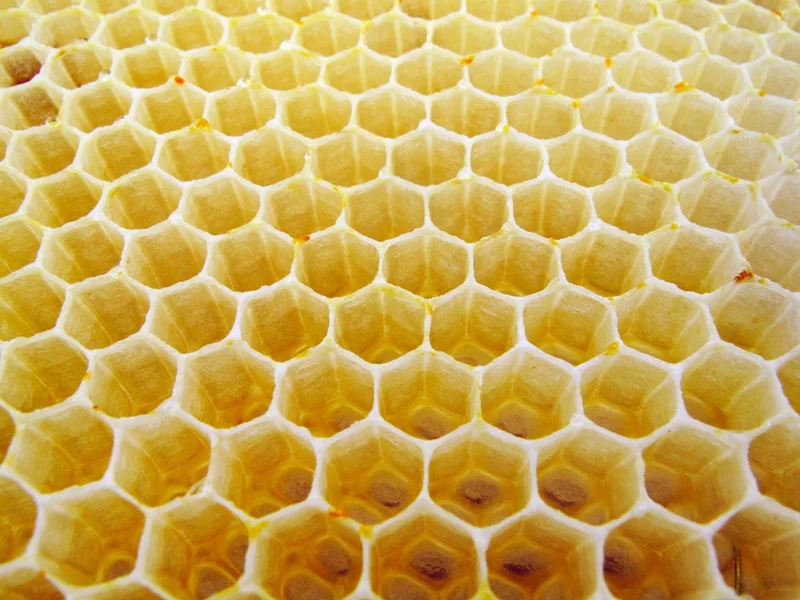 Favo de mel com sua perfeita estrutura hexagonal