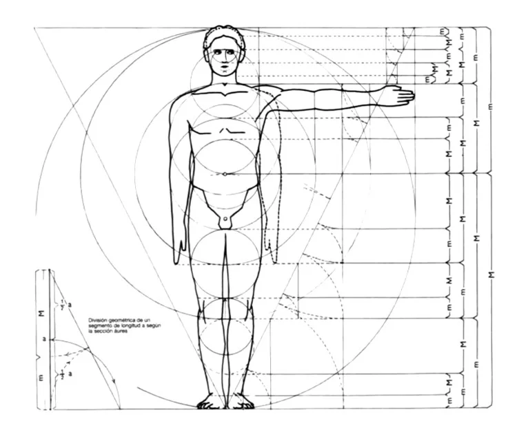 O Homem Vitruviano de Leonardo da Vinci sobreposto a uma planta baixa, simbolizando a escala humana.