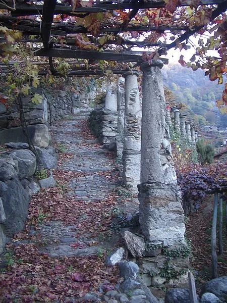 Pergolado antigo em jardim romano