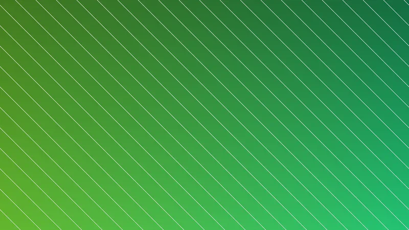 Estrutura de uma casa em Steel Frame, com os perfis de aço galvanizado formando as paredes e a cobertura.