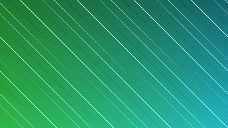 Processo de construção de uma plantas para jardim externo