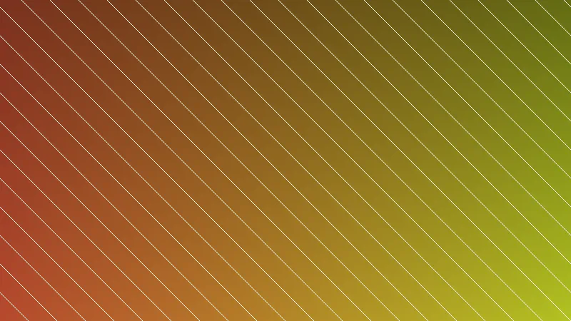 Processo de construção de uma reforma de casa