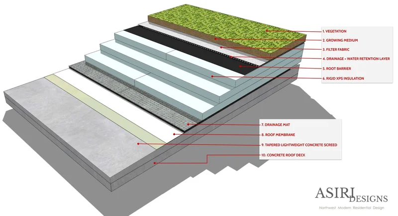 Diagrama em corte mostrando as múltiplas camadas de um sistema de telhado verde.
